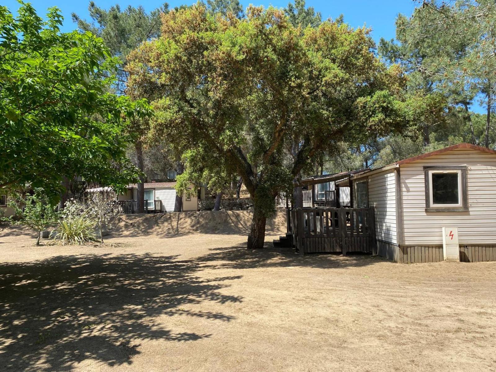 Camping Olva *** Sartène Buitenkant foto
